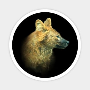 Asian wild dog-Dhole Magnet